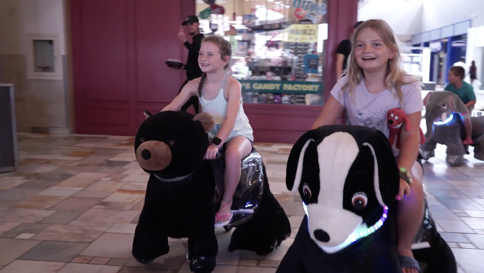 Motorized animal rides to begin around The Empire Mall 